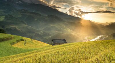 Sapa Best Terraced Rice-fields
